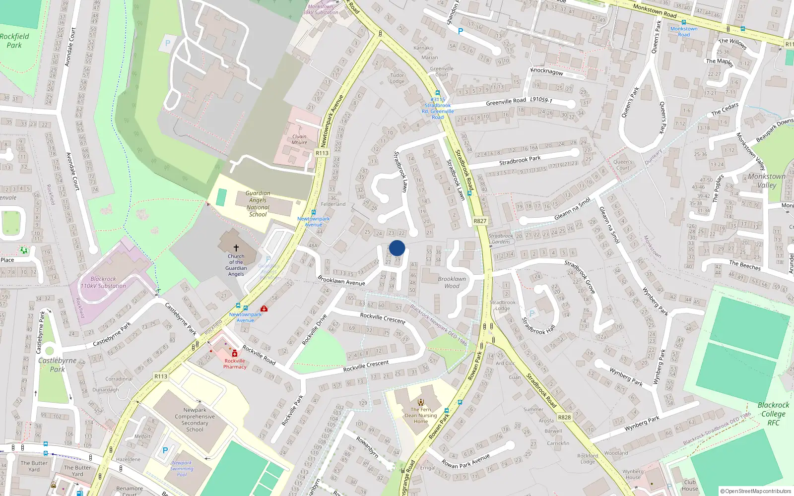Overhead map showing the location of 42 Brooklawn Avenue, Blackrock