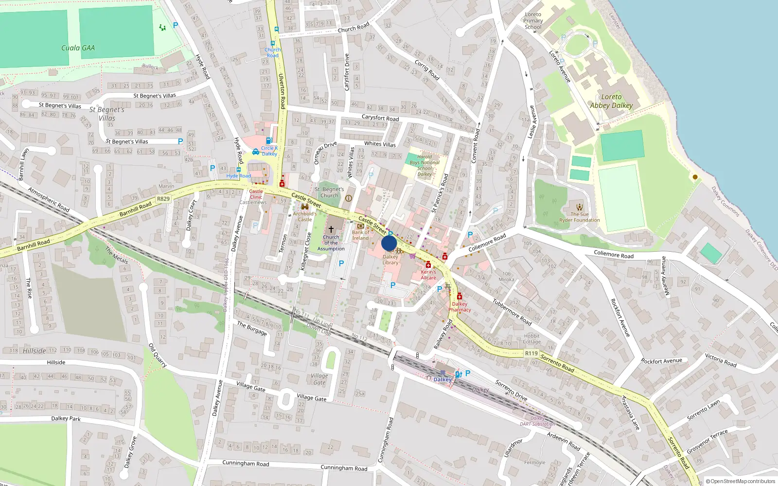 Overhead map showing the location of 42 Castle Street, Co Dublin