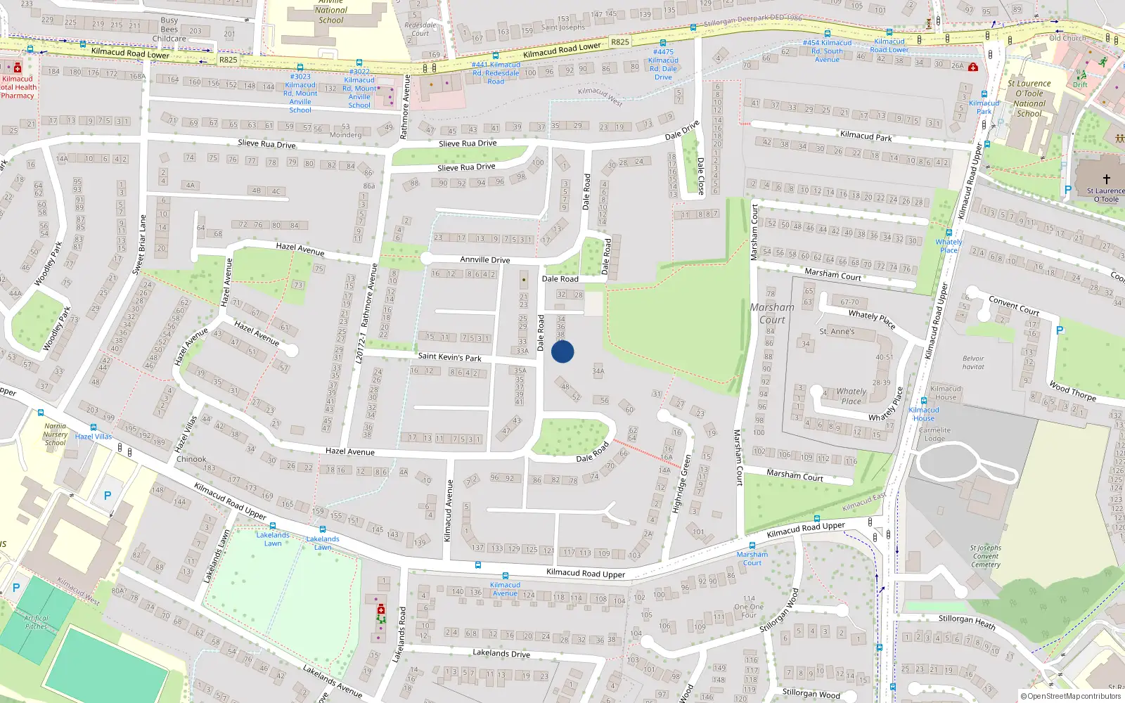 Overhead map showing the location of 42 Dale Road, Dublin