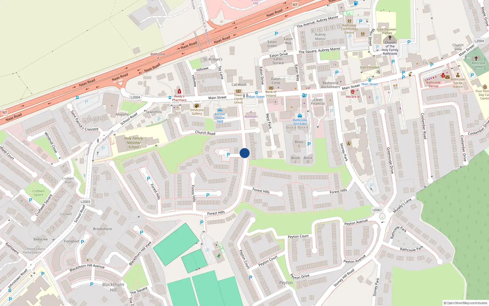 Overhead map showing the location of 42 Forest Hills, Rathcoole