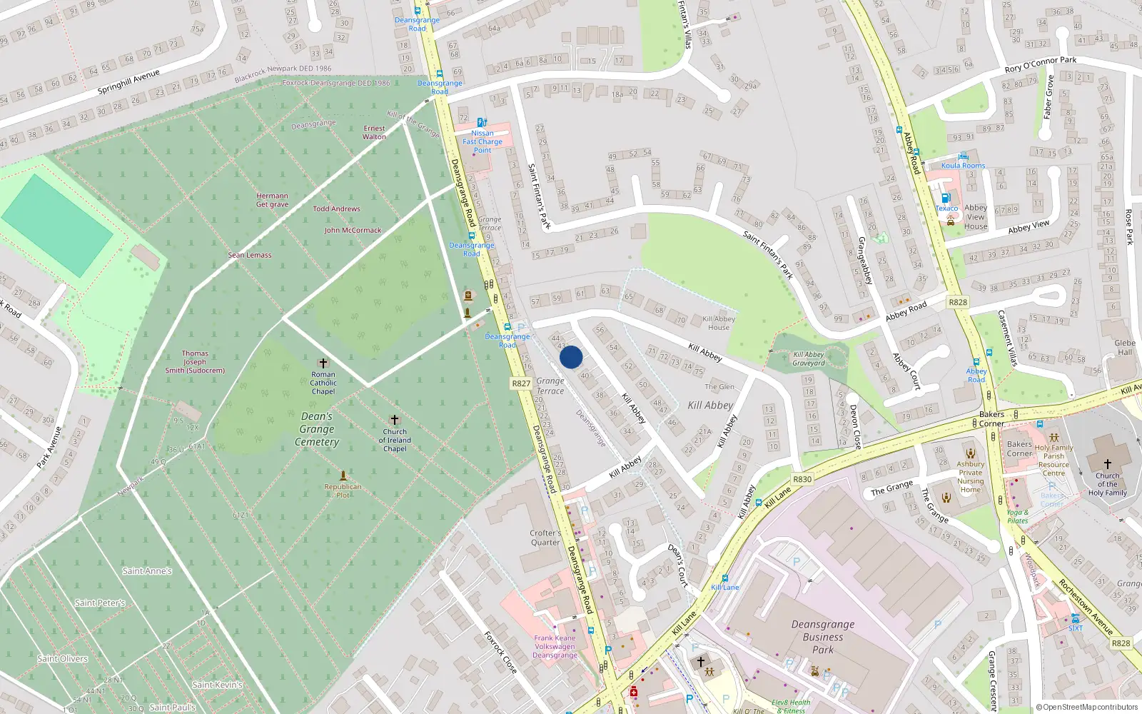 Overhead map showing the location of 42 Kill Abbey, Blackrock