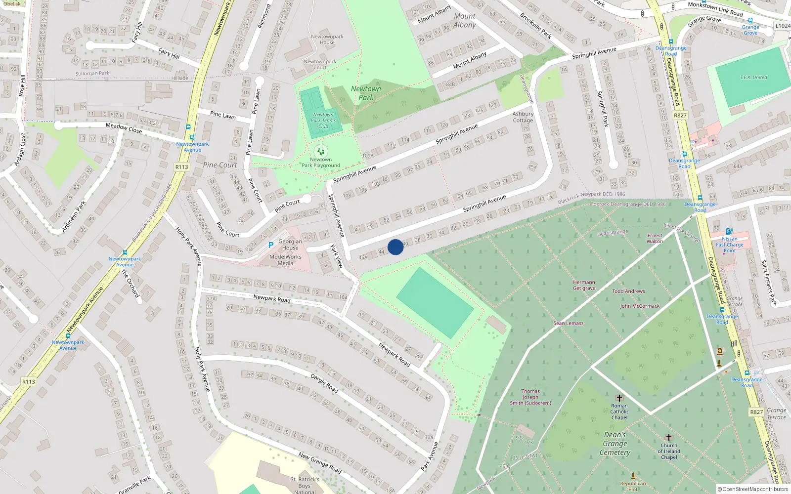 Overhead map showing the location of 42 Springhill Avenue, Blackrock