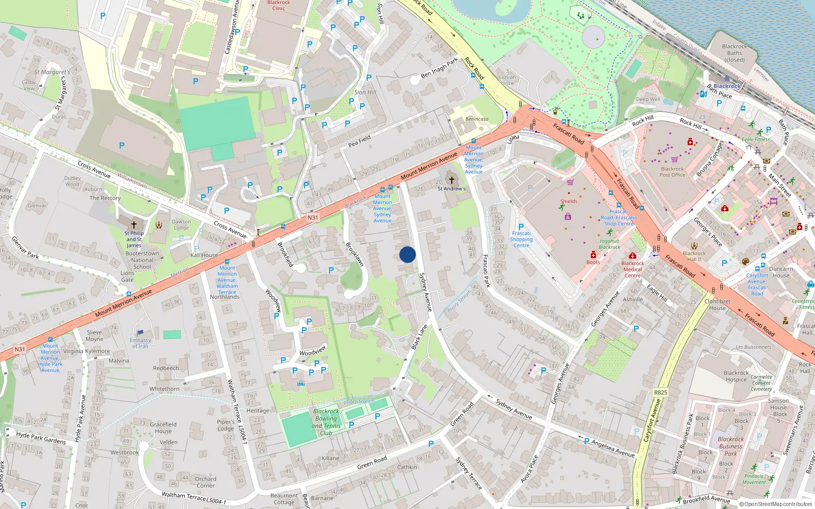 Overhead map showing the location of 42 Sydney Avenue, Blackrock, Co Dublin