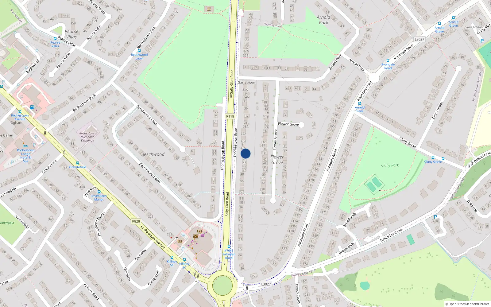 Overhead map showing the location of 42 Thomastown Road, Dublin
