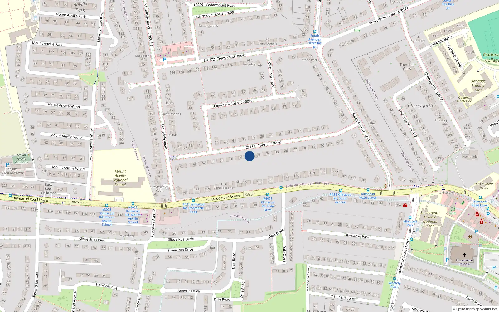 Overhead map showing the location of 42 Thornhill Road, Blackrock