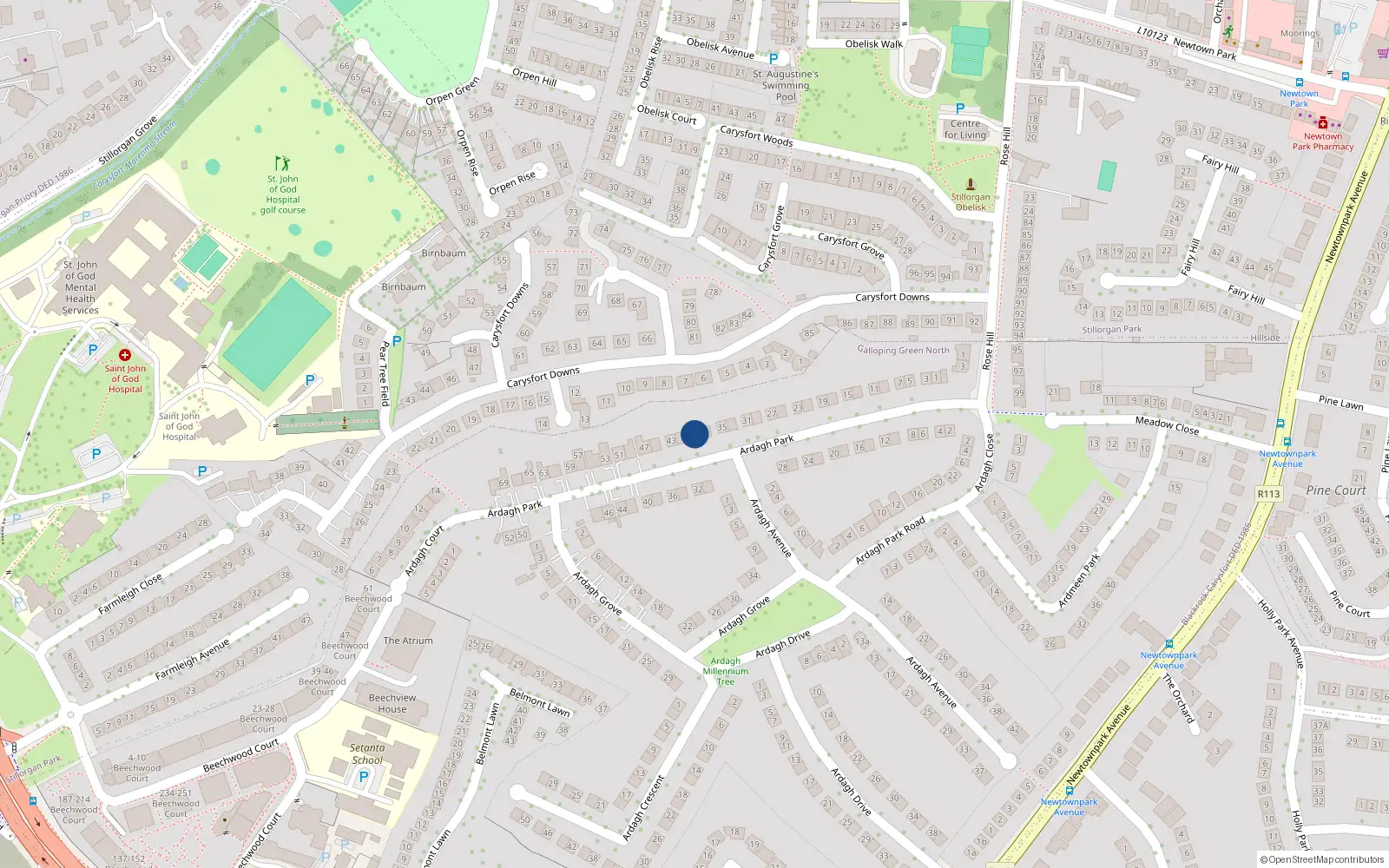 Overhead map showing the location of 43 Ardagh Park, Blackrock, Dublin