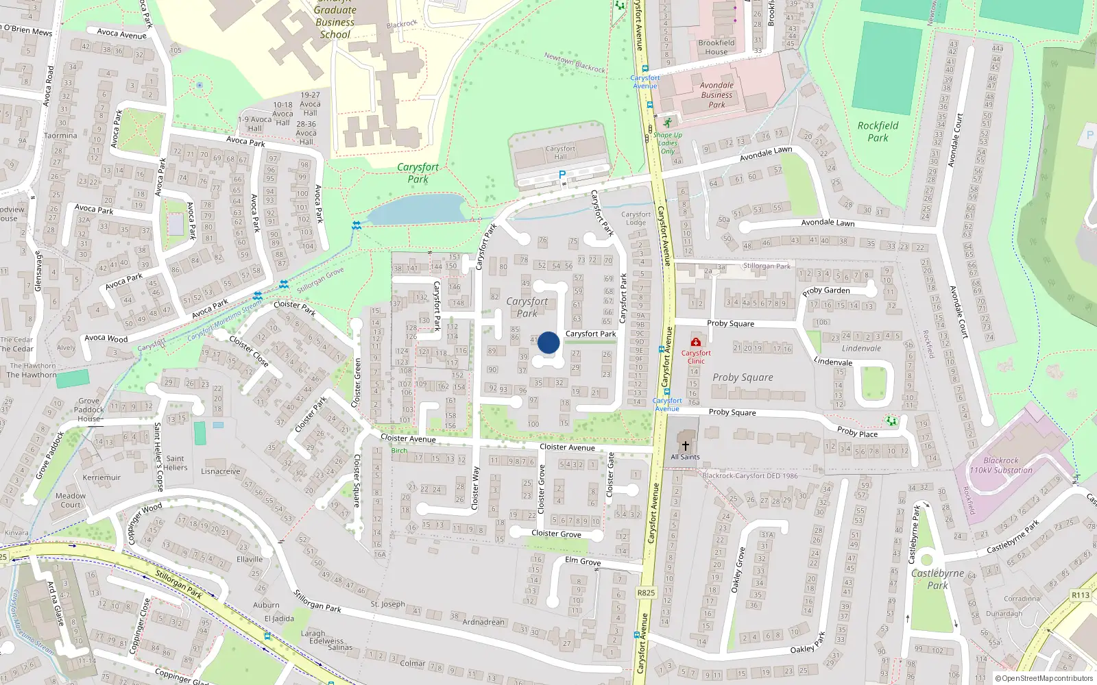 Overhead map showing the location of 43 Carysfort Park, Blackrock