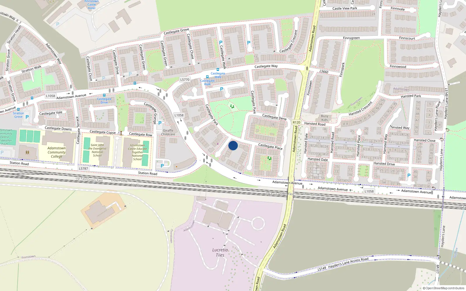 Overhead map showing the location of 43 Castlegate Park, Adamstown