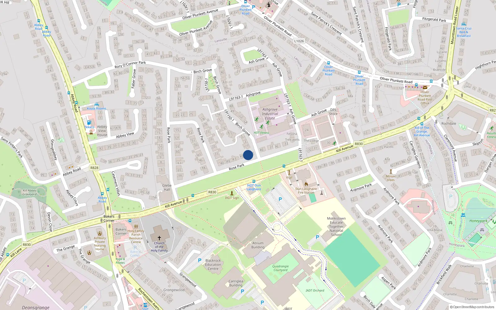 Overhead map showing the location of 43 Kill Avenue, Dublin