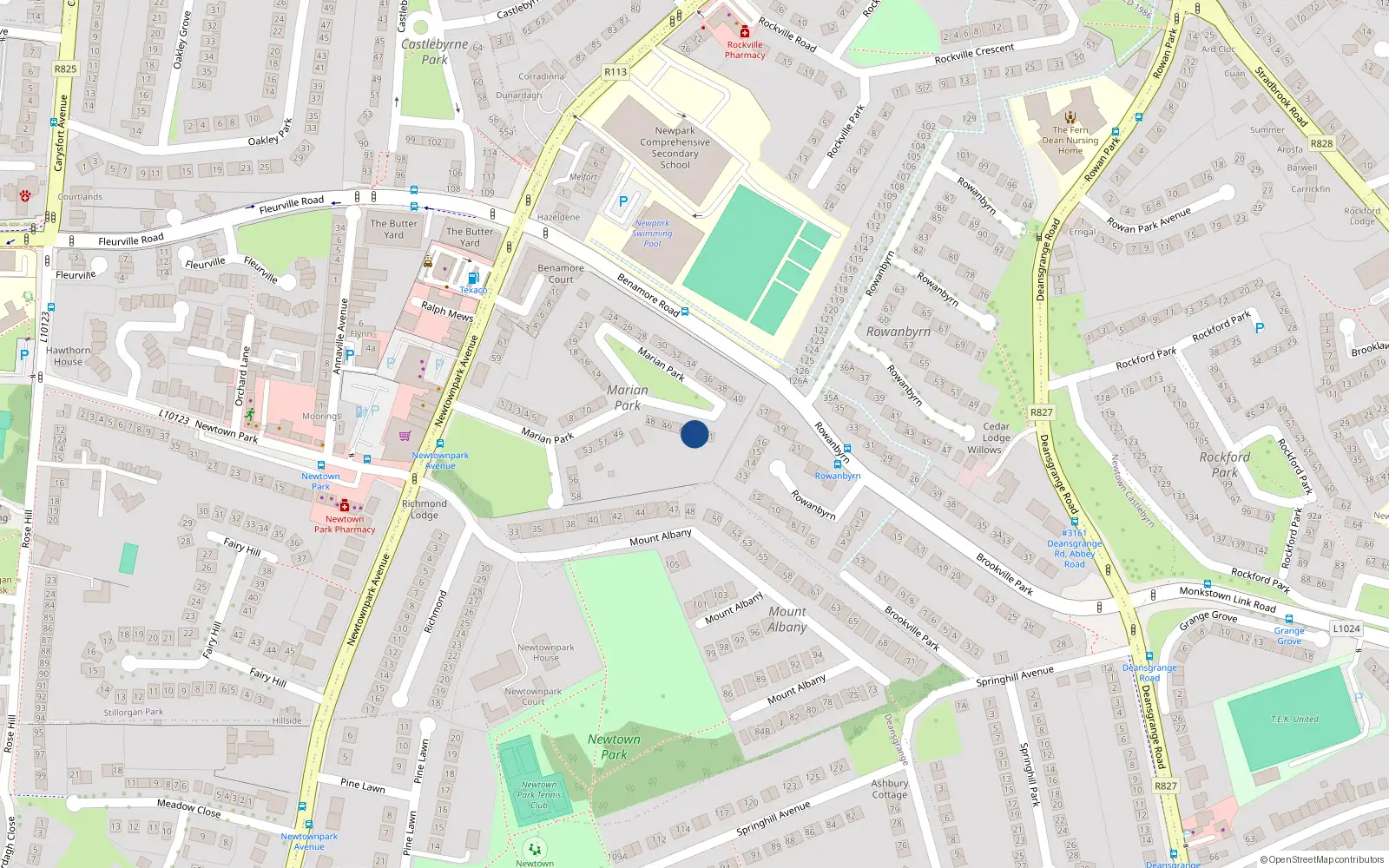 Overhead map showing the location of 43 Marian Park, Blackrock