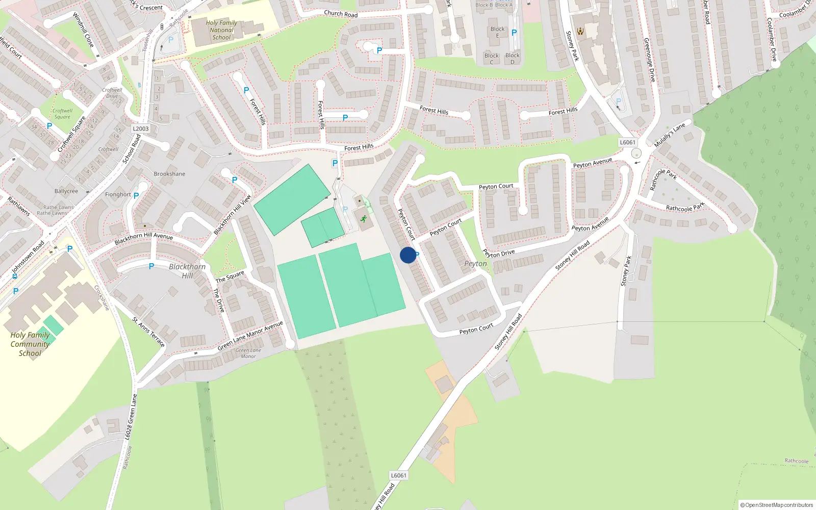 Overhead map showing the location of 43 Peyton Close, Rathcoole