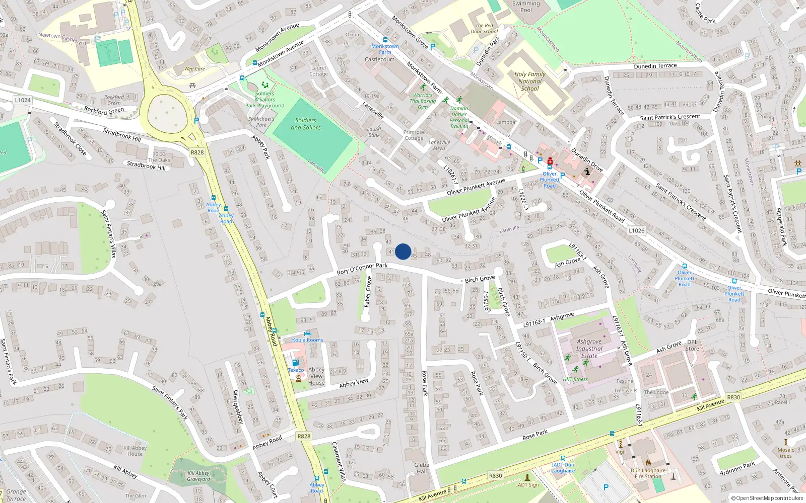Overhead map showing the location of 43 Rory O'Connor Park, Dublin