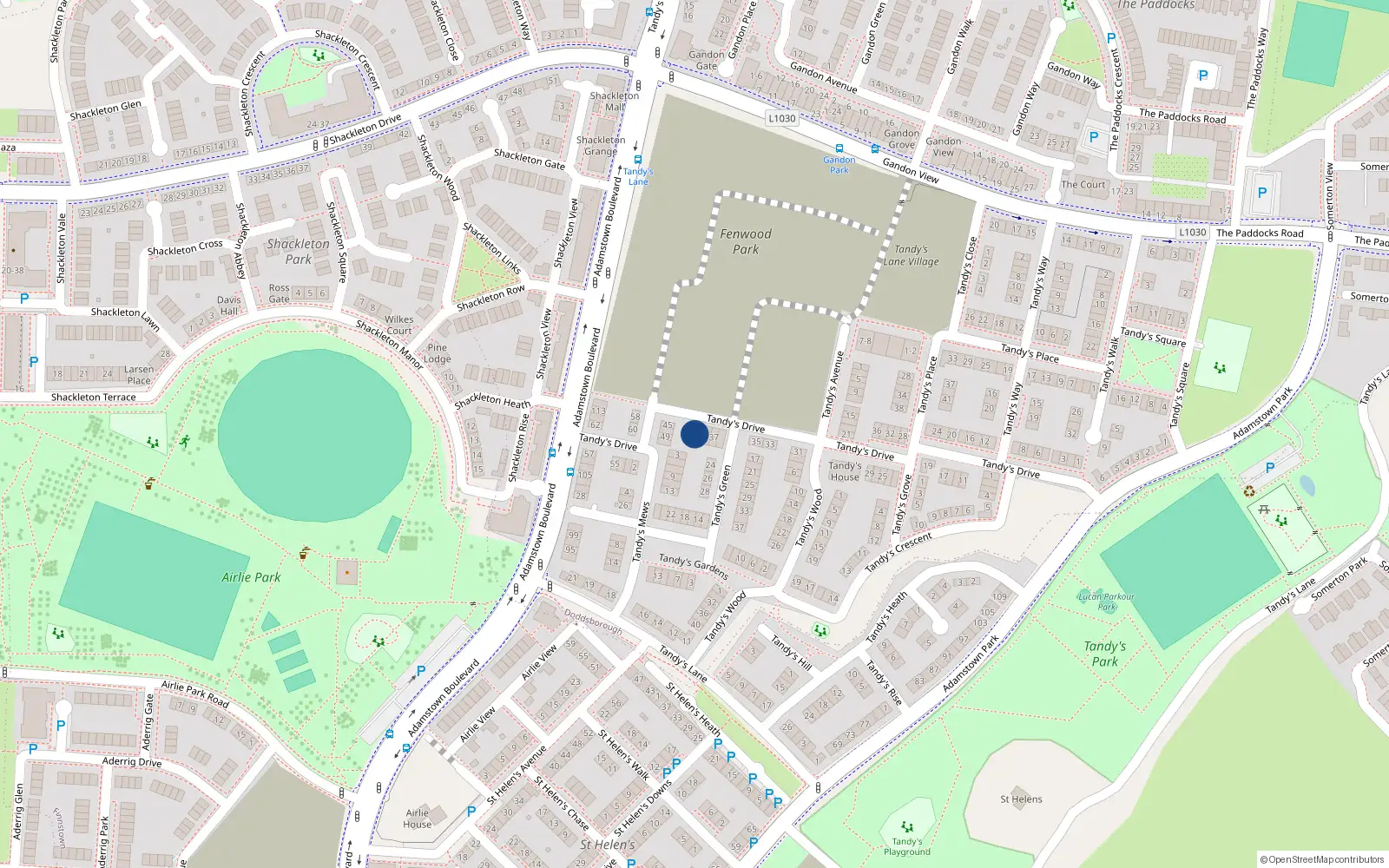 Overhead map showing the location of 43 Tandy's Drive, Lucan