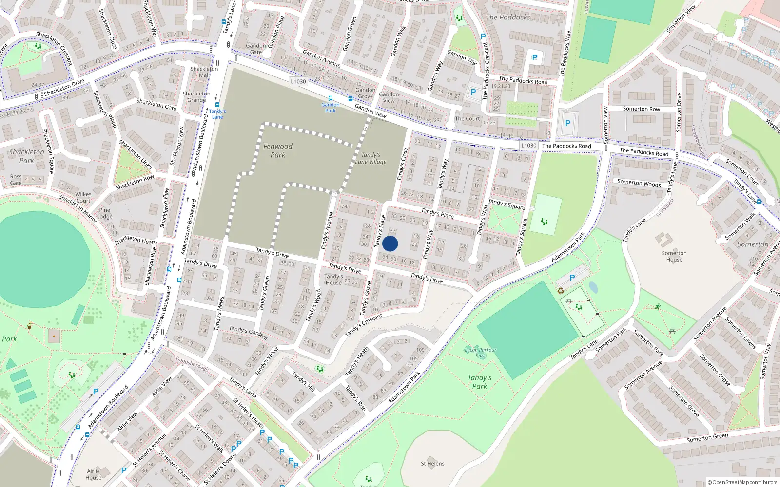 Overhead map showing the location of 43 Tandy's Place, Lucan