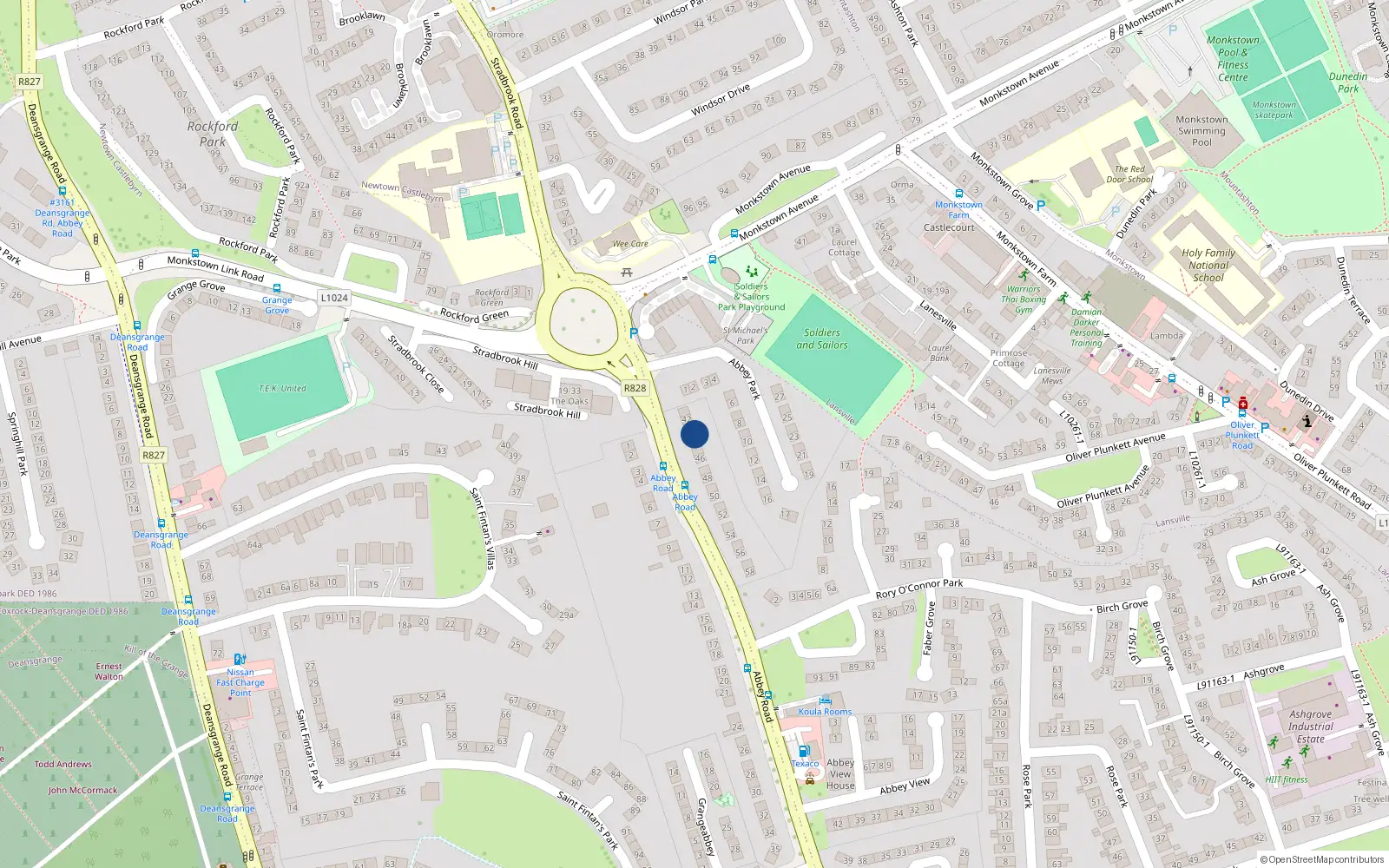 Overhead map showing the location of 44 Abbey Road, Monkstown