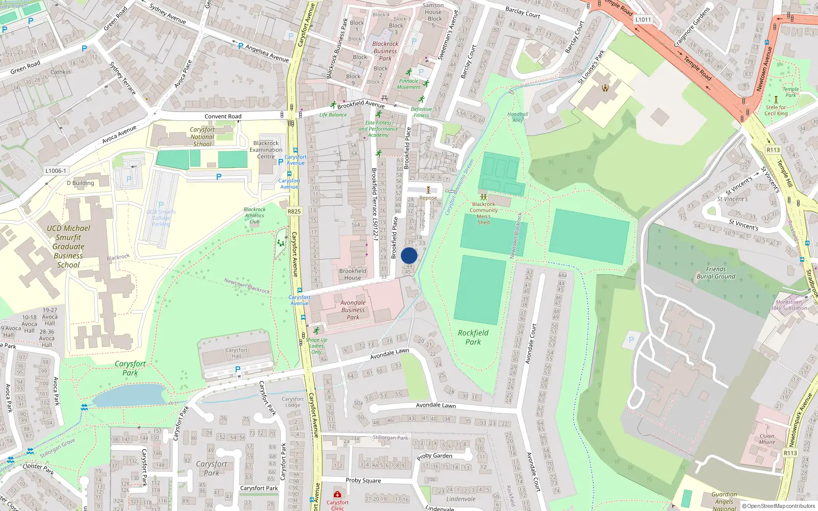 Overhead map showing the location of 44 Brookfield Place, Blackrock