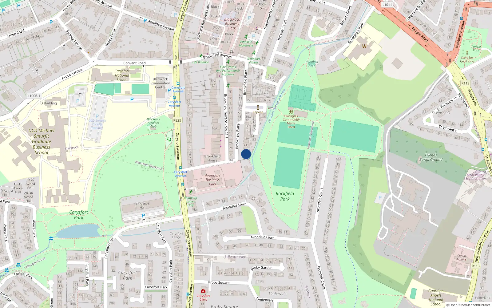 Overhead map showing the location of 44 Brookfield Place, Dublin