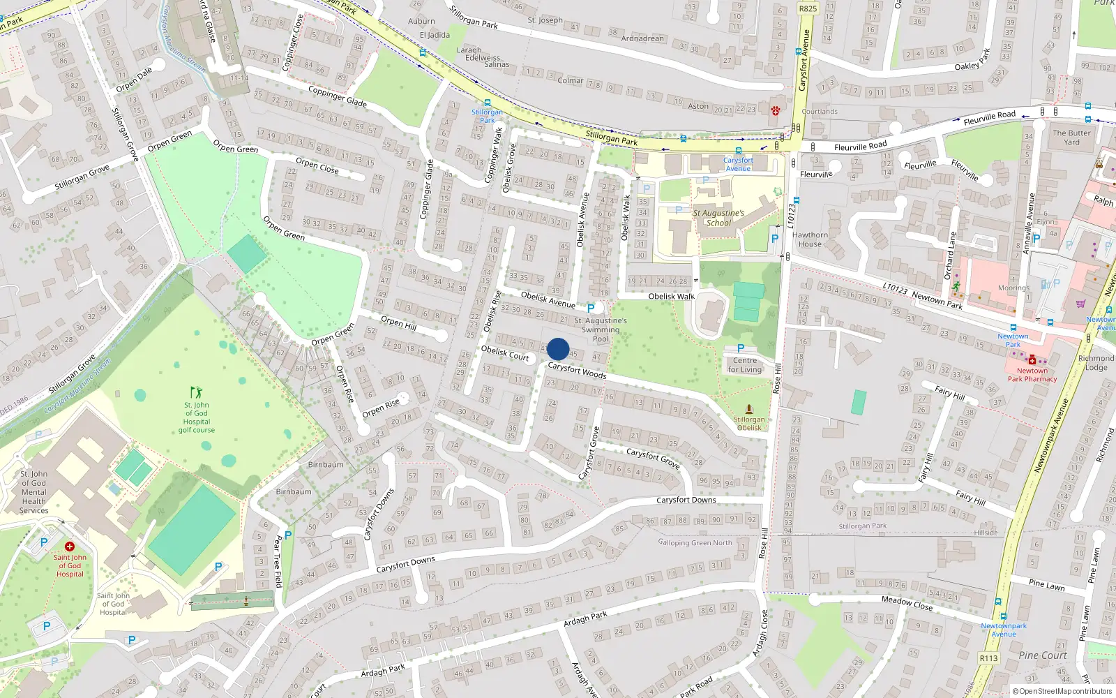 Overhead map showing the location of 44 Carysfort Woods, Blackrock