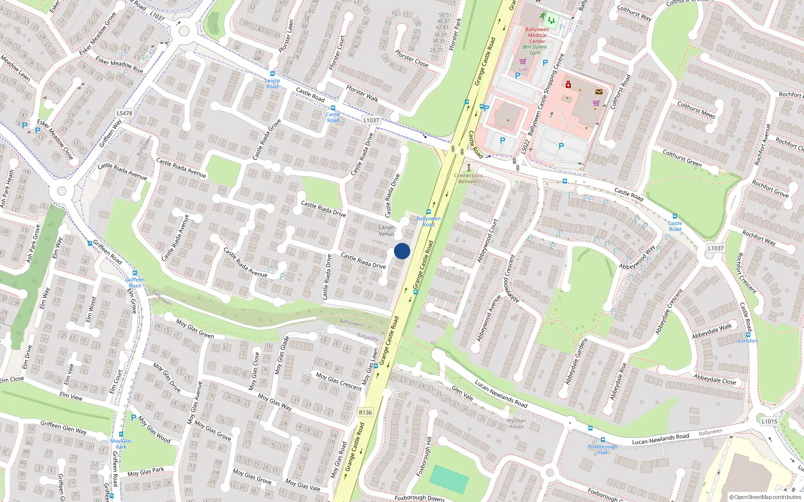 Overhead map showing the location of 44 Castle Riada Drive, Lucan
