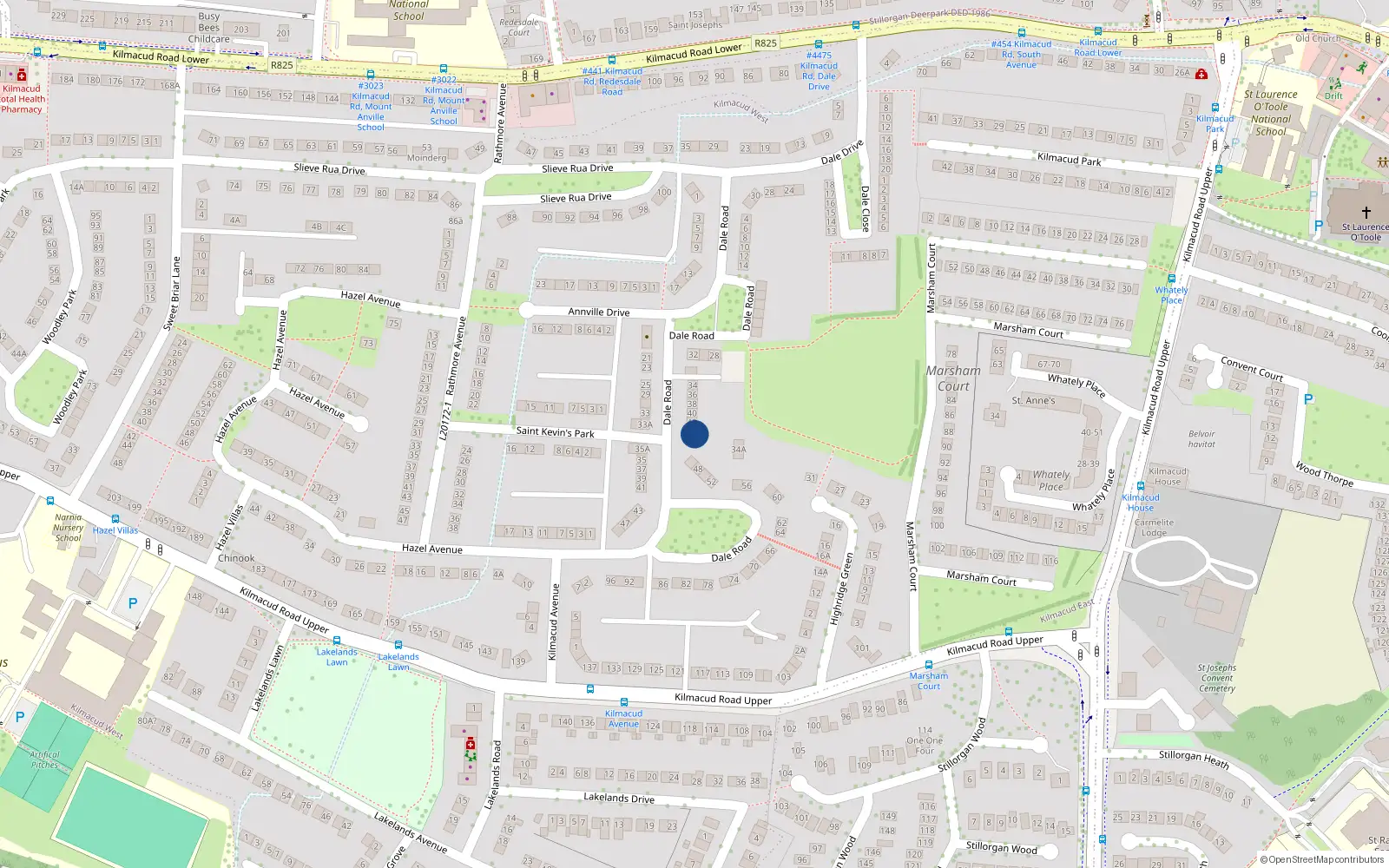 Overhead map showing the location of 44 Dale Road, Dublin