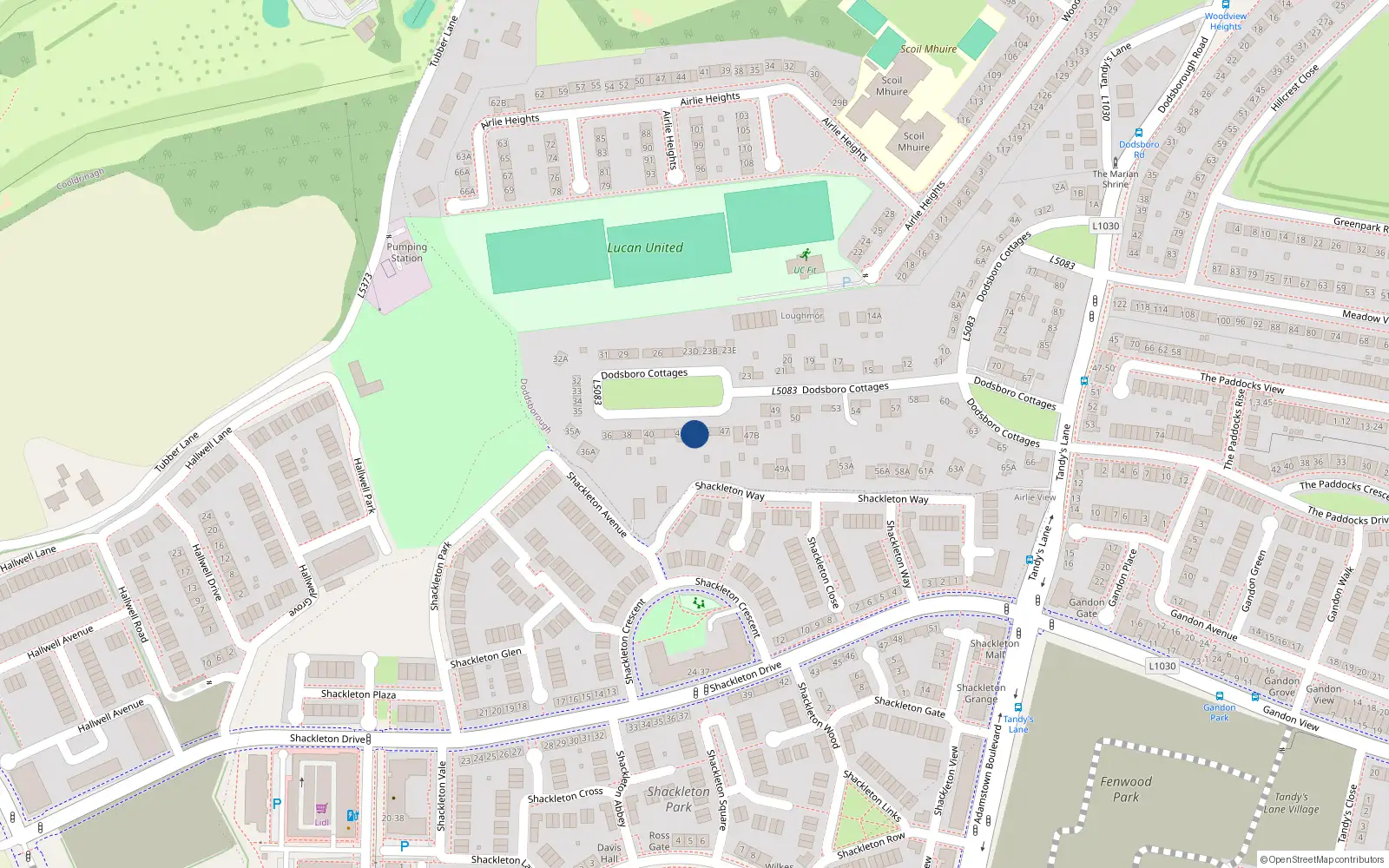 Overhead map showing the location of 44 Dodsborough Cottages, Lucan