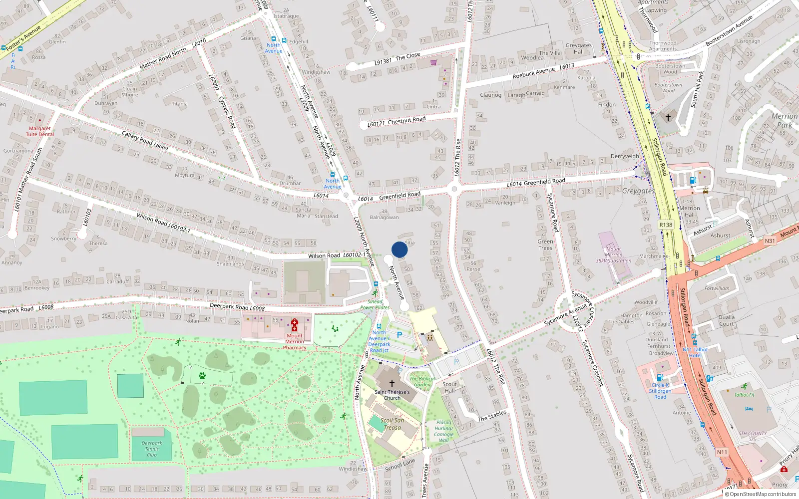 Overhead map showing the location of 44 North Avenue, Blackrock