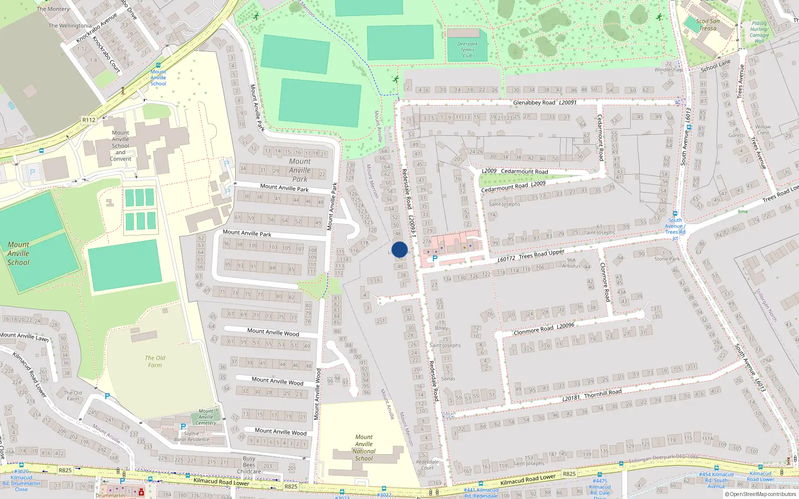 Overhead map showing the location of 44 Redesdale Road, Blackrock