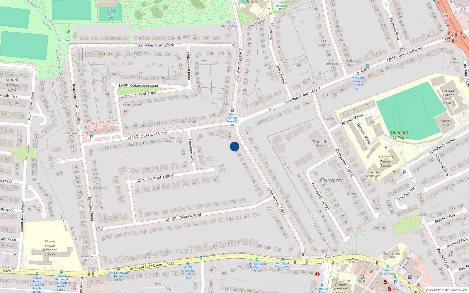 Overhead map showing the location of 44 South Avenue, Blackrock