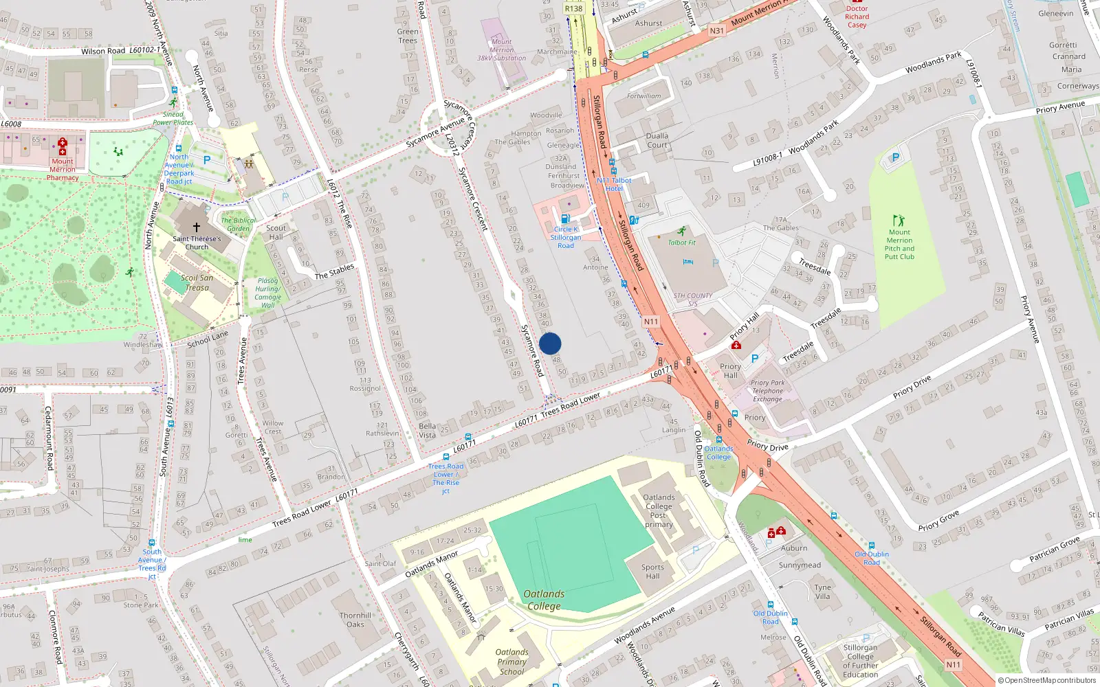Overhead map showing the location of 44 Sycamore Road, Mount Merrion, Dublin