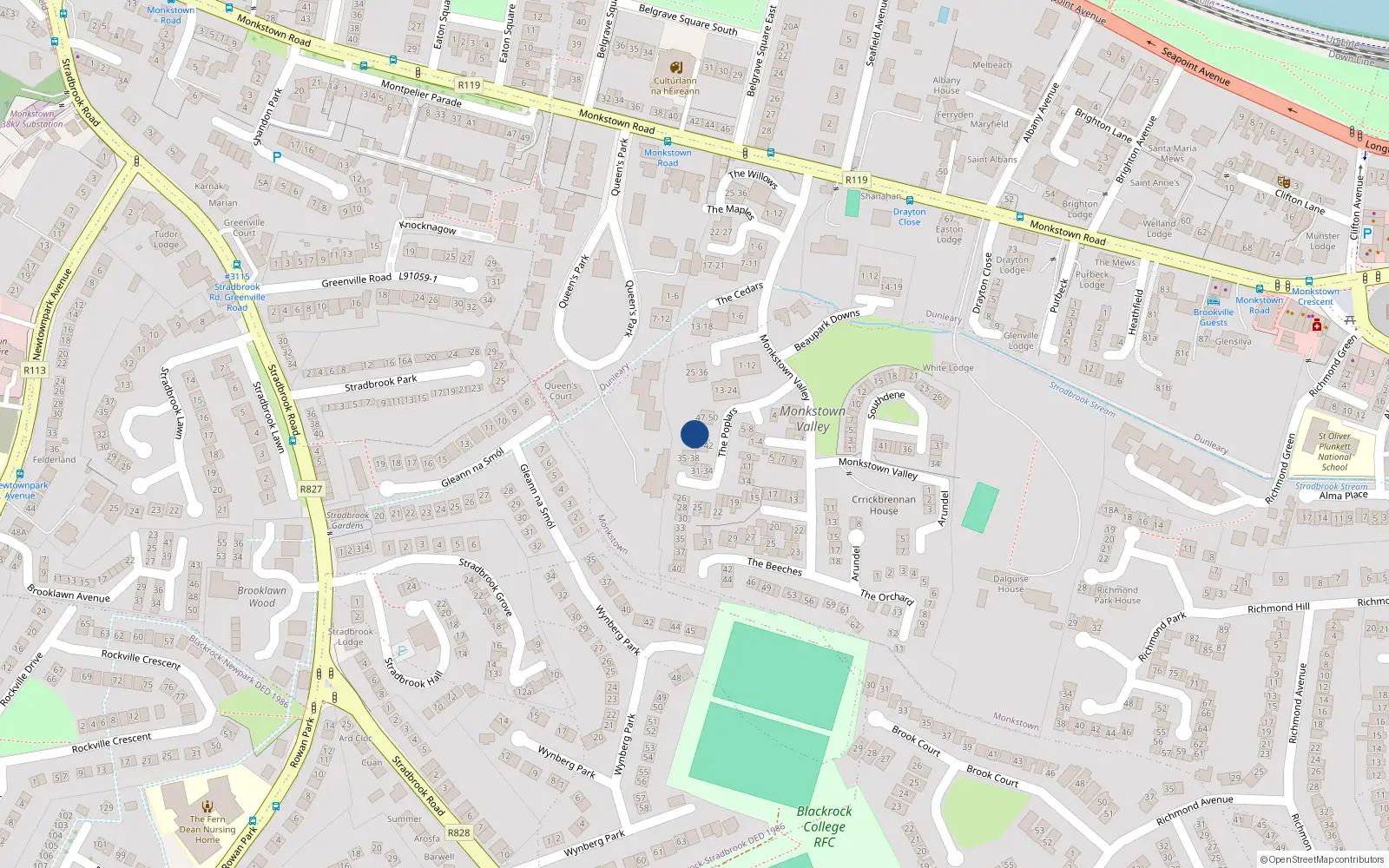 Overhead map showing the location of 44 the Poplars, Monkstown Valley, Monkstown