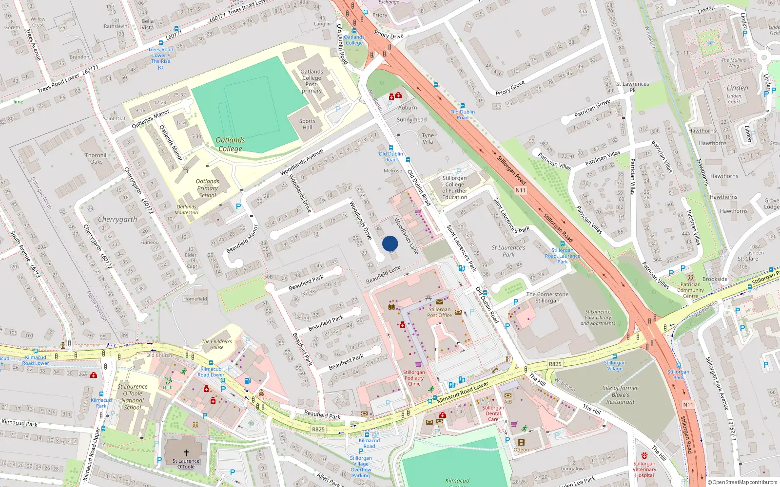 Overhead map showing the location of 44 Woodlands Drive, Dublin