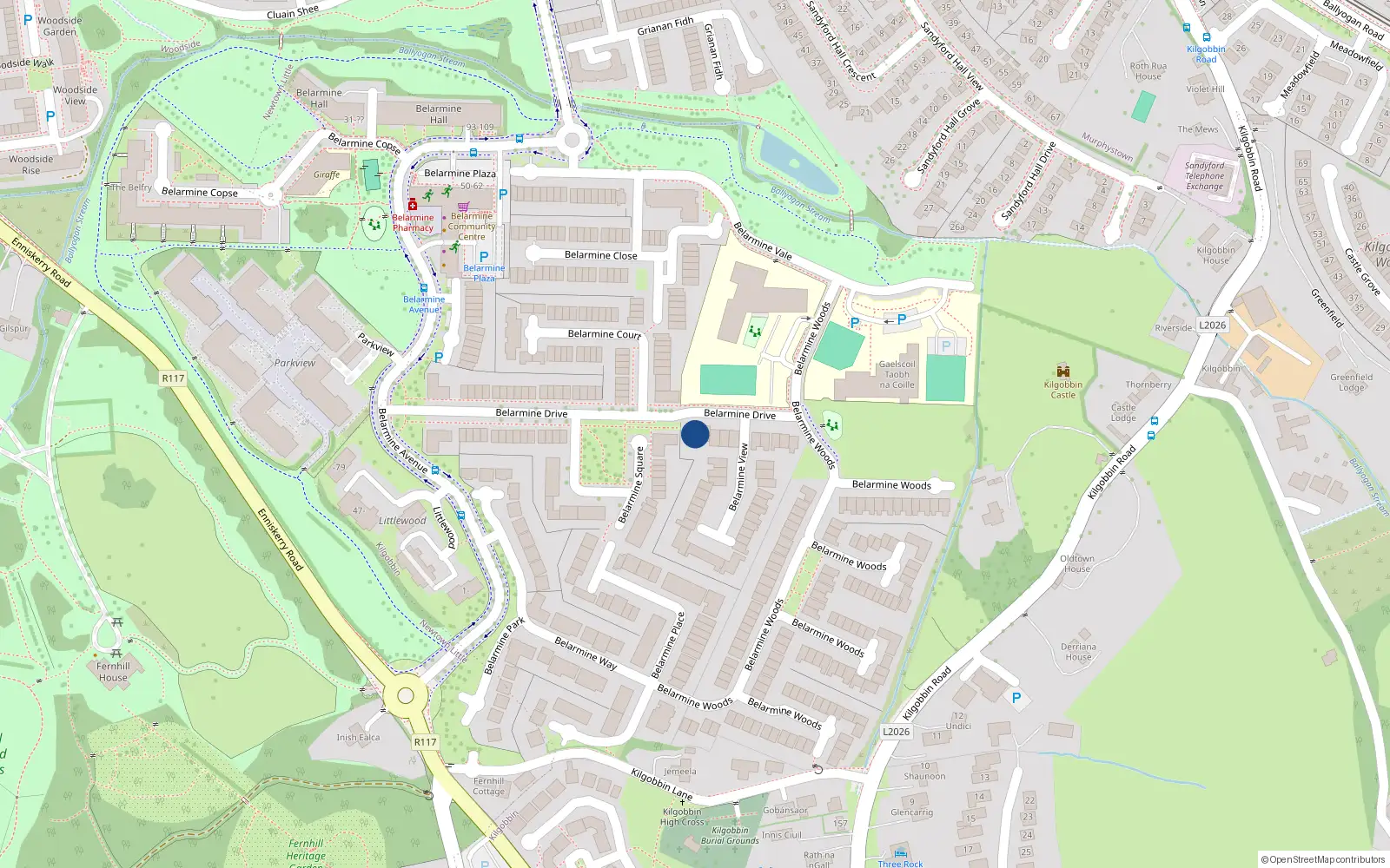 Overhead map showing the location of 45 Belarmine Drive, Stepaside