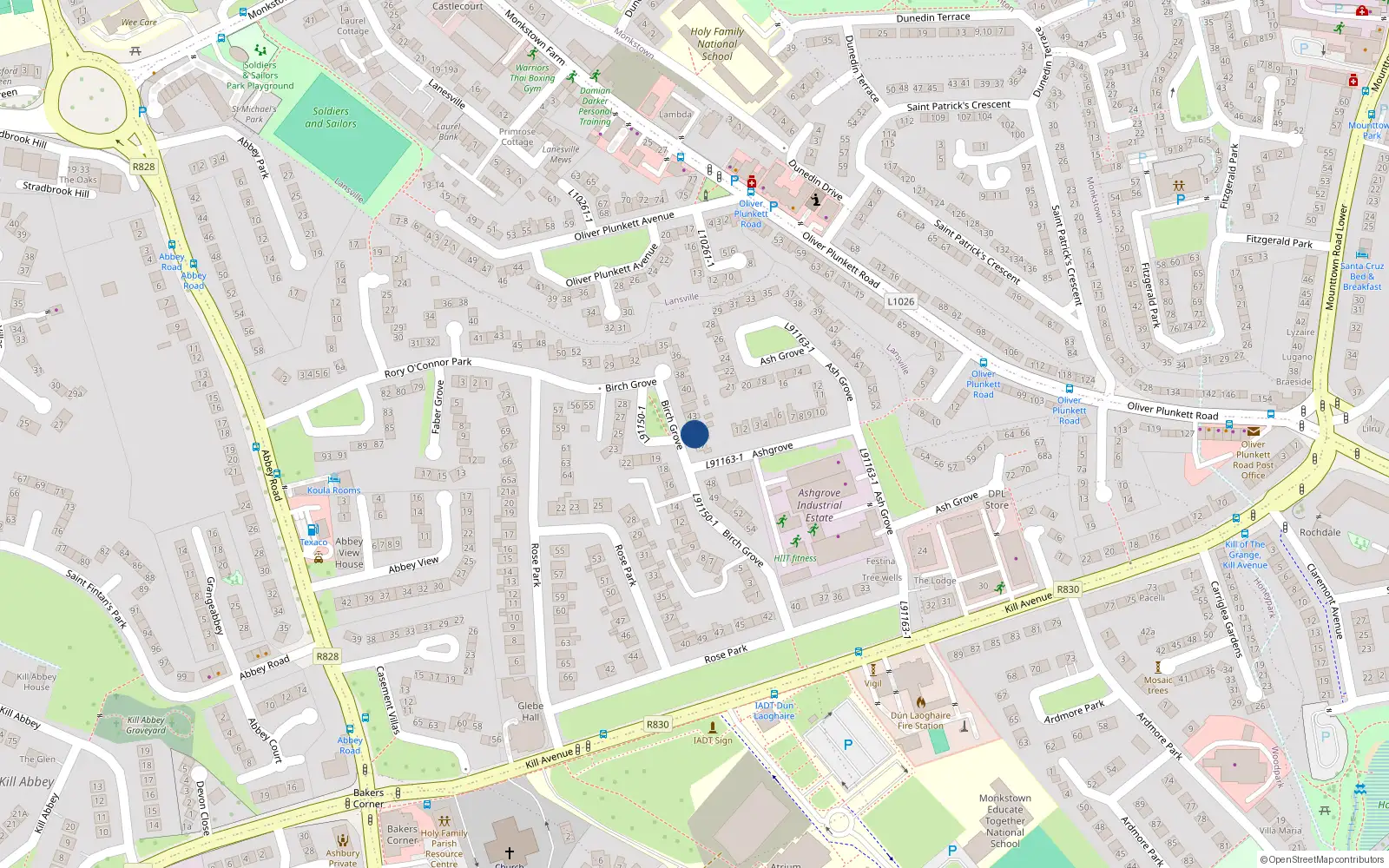 Overhead map showing the location of 45 Birch Grove, Killavenue, Dunlaoghaire