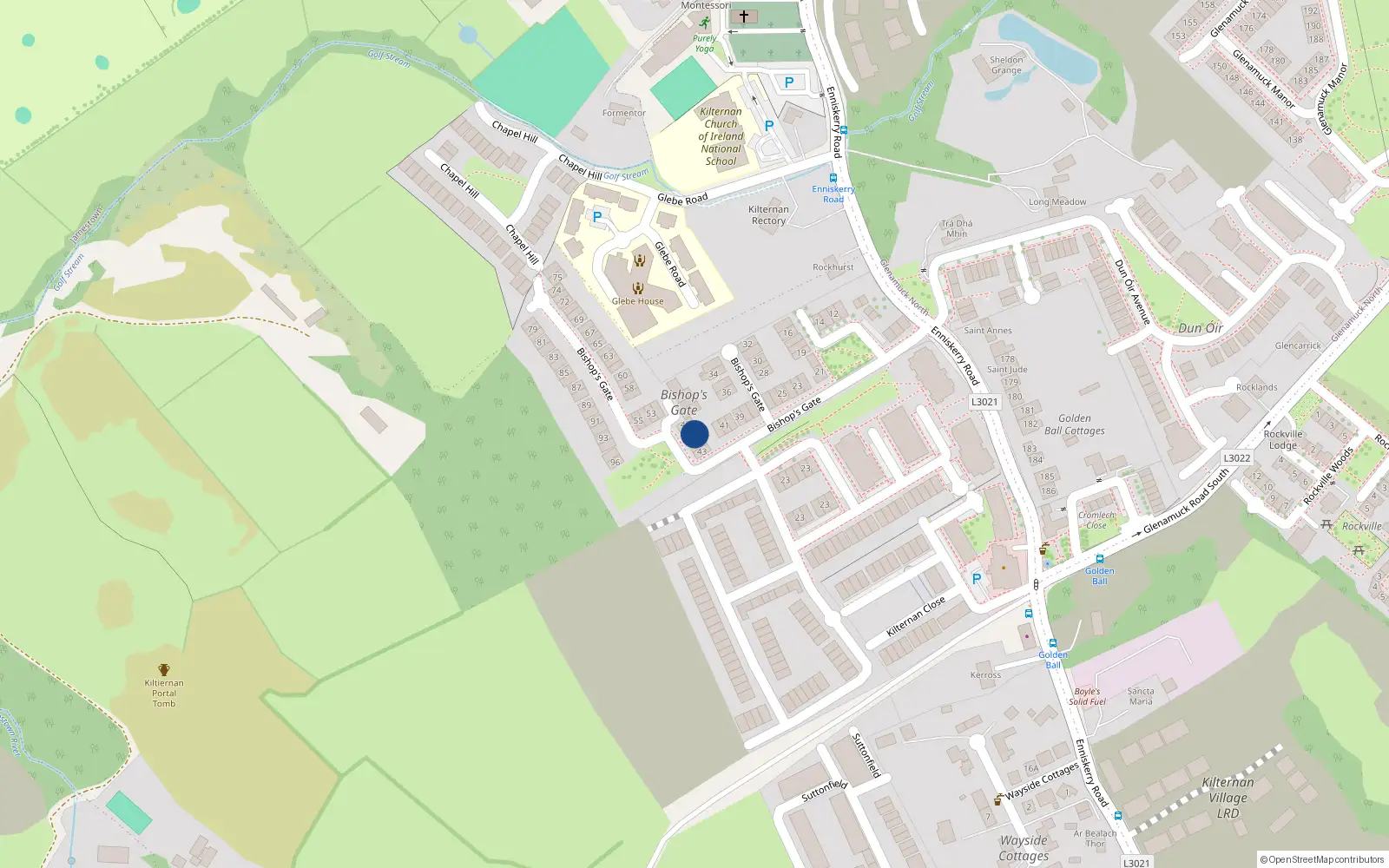 Overhead map showing the location of 45 Bishops Gate, Dublin 18