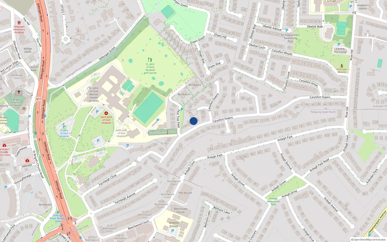 Overhead map showing the location of 45 Carysfort Downs, Blackrock