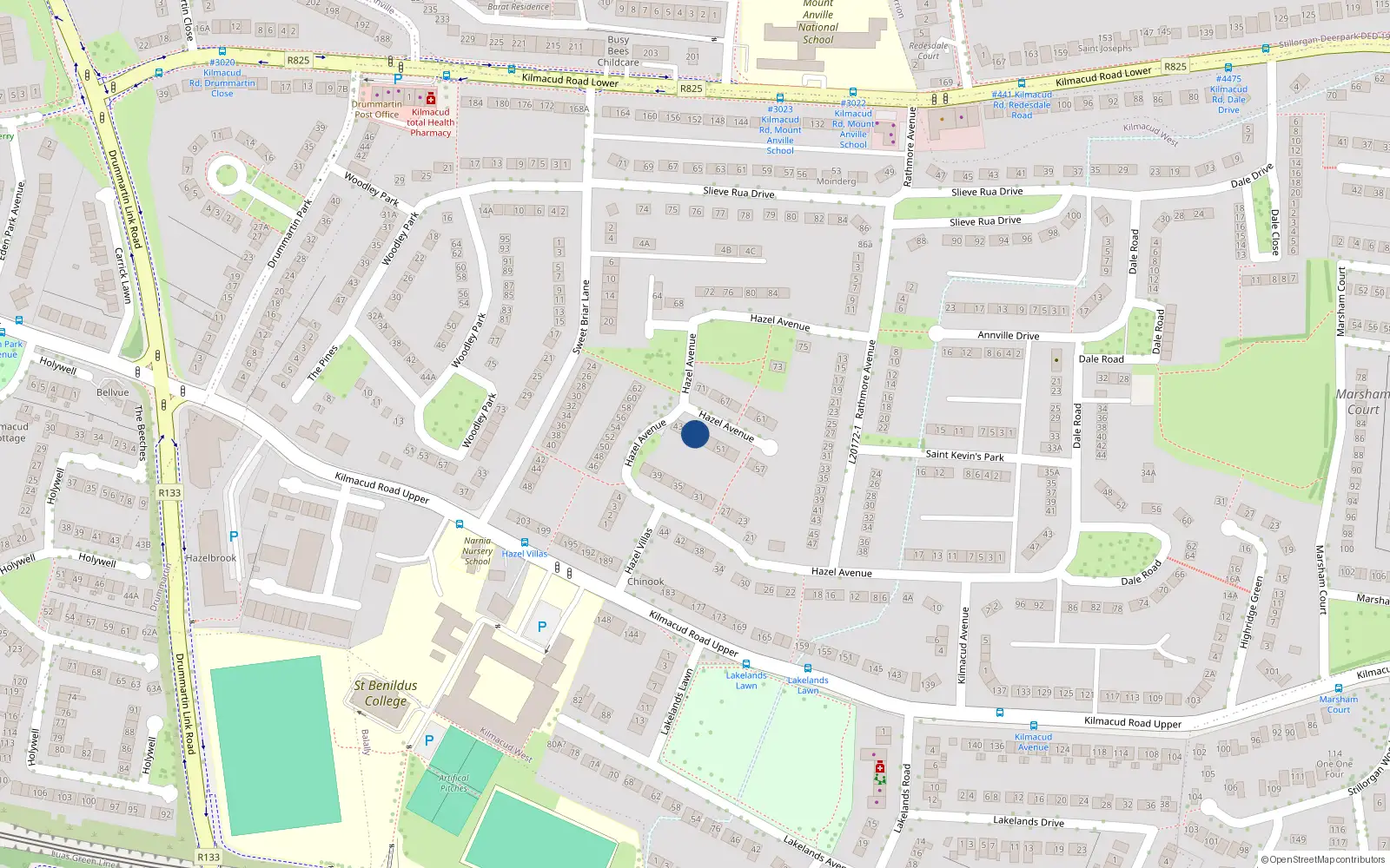 Overhead map showing the location of 45 Hazel Avenue, Blackrock