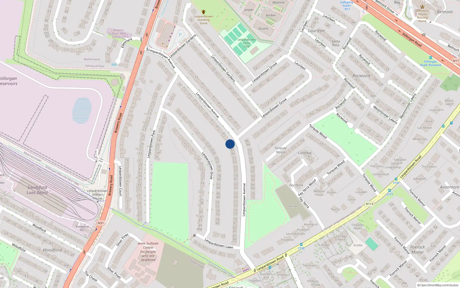 Overhead map showing the location of 45 Leopardstown Avenue, Dublin