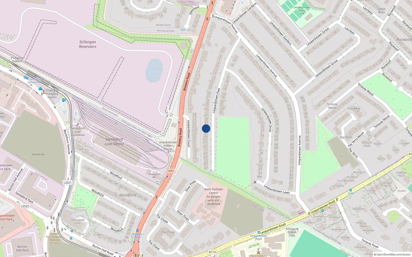 Overhead map showing the location of 45 Leopardstown Park, Blackrock