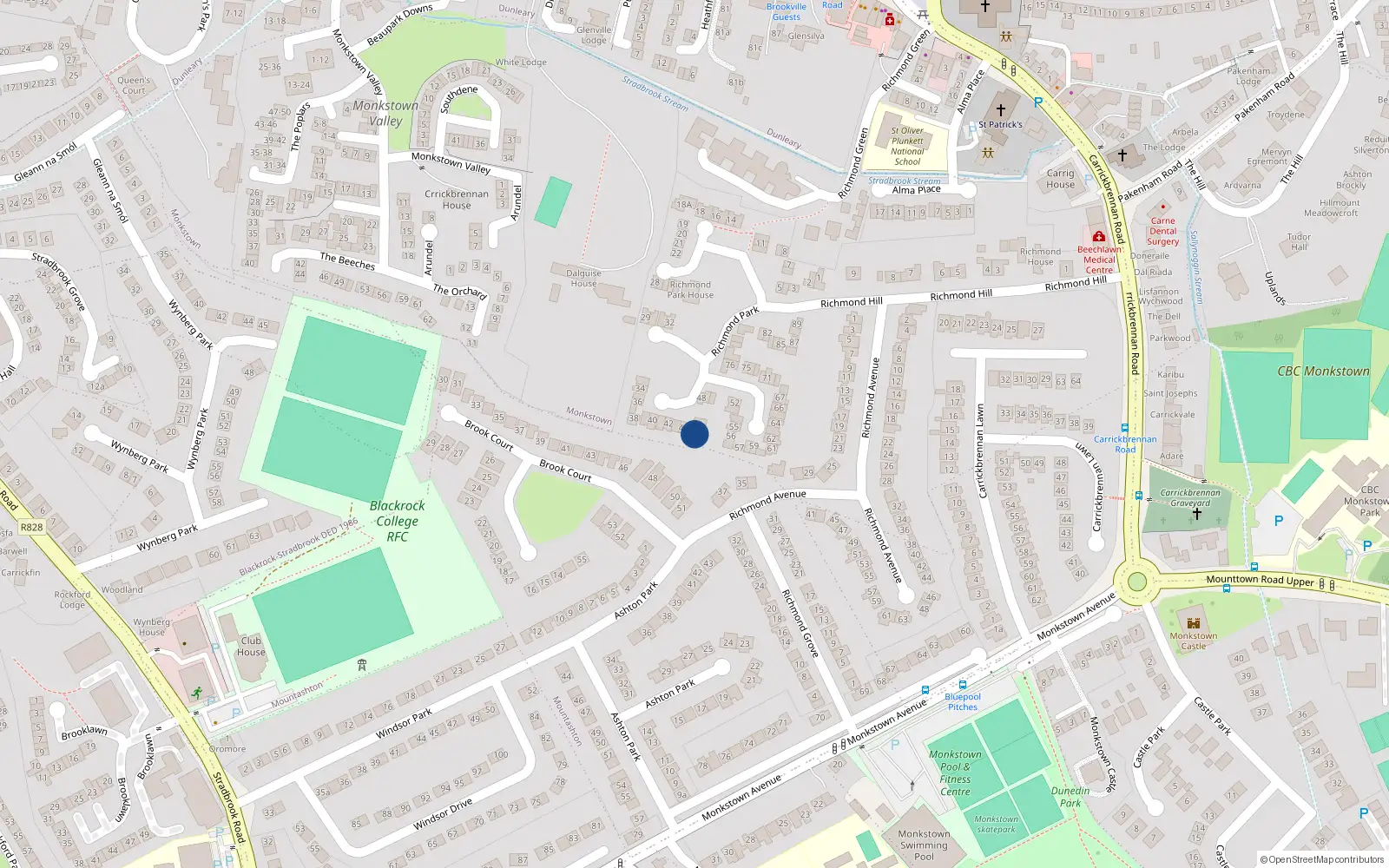 Overhead map showing the location of 45 Richmond Park, Dublin