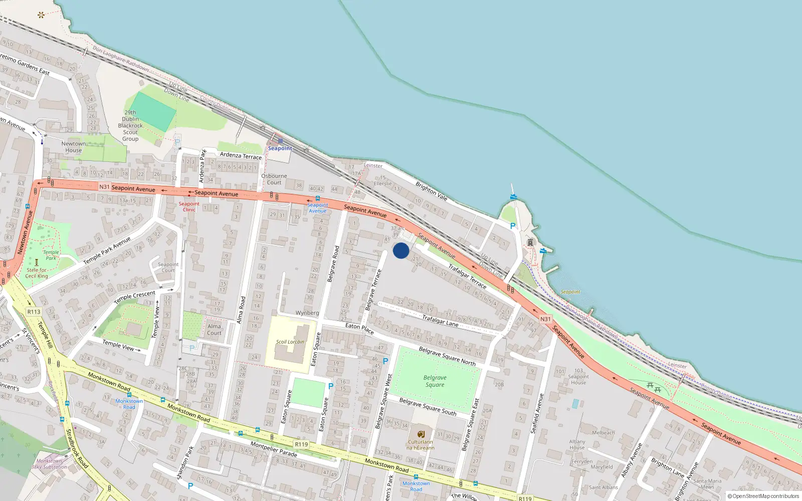 Overhead map showing the location of 45 Seapoint Avenue, Blackrock