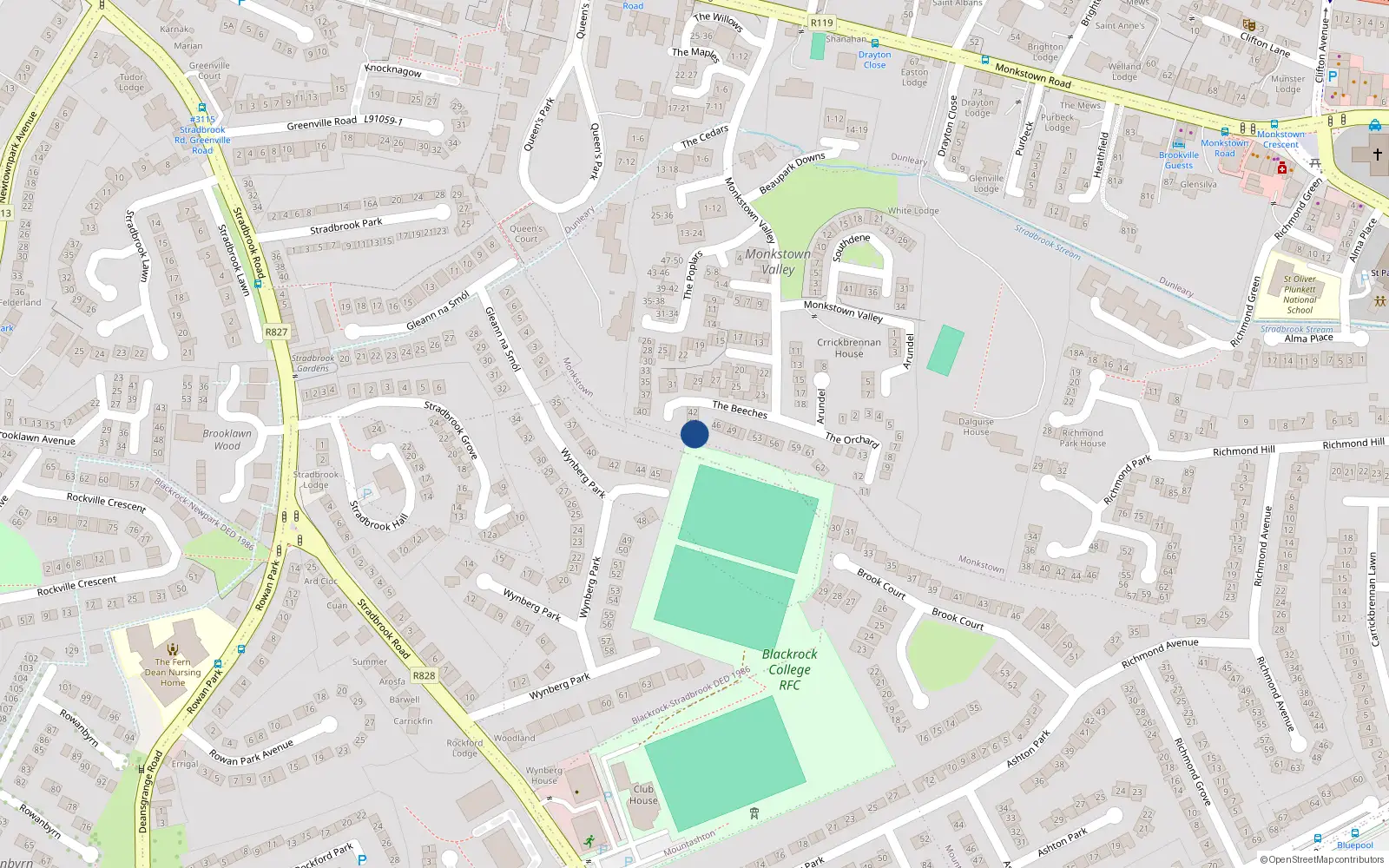 Overhead map showing the location of 45 the Beeches, Monkstown Valley, Monkstown