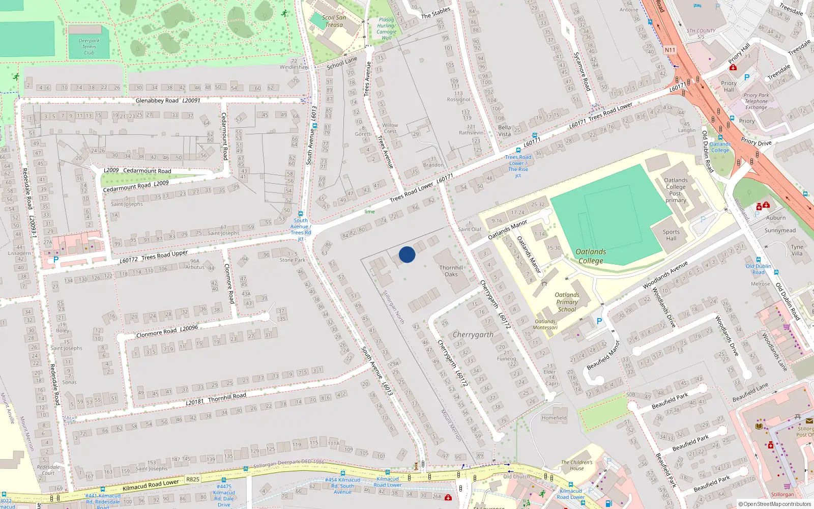 Overhead map showing the location of 45 Thornhill Oaks, Blackrock