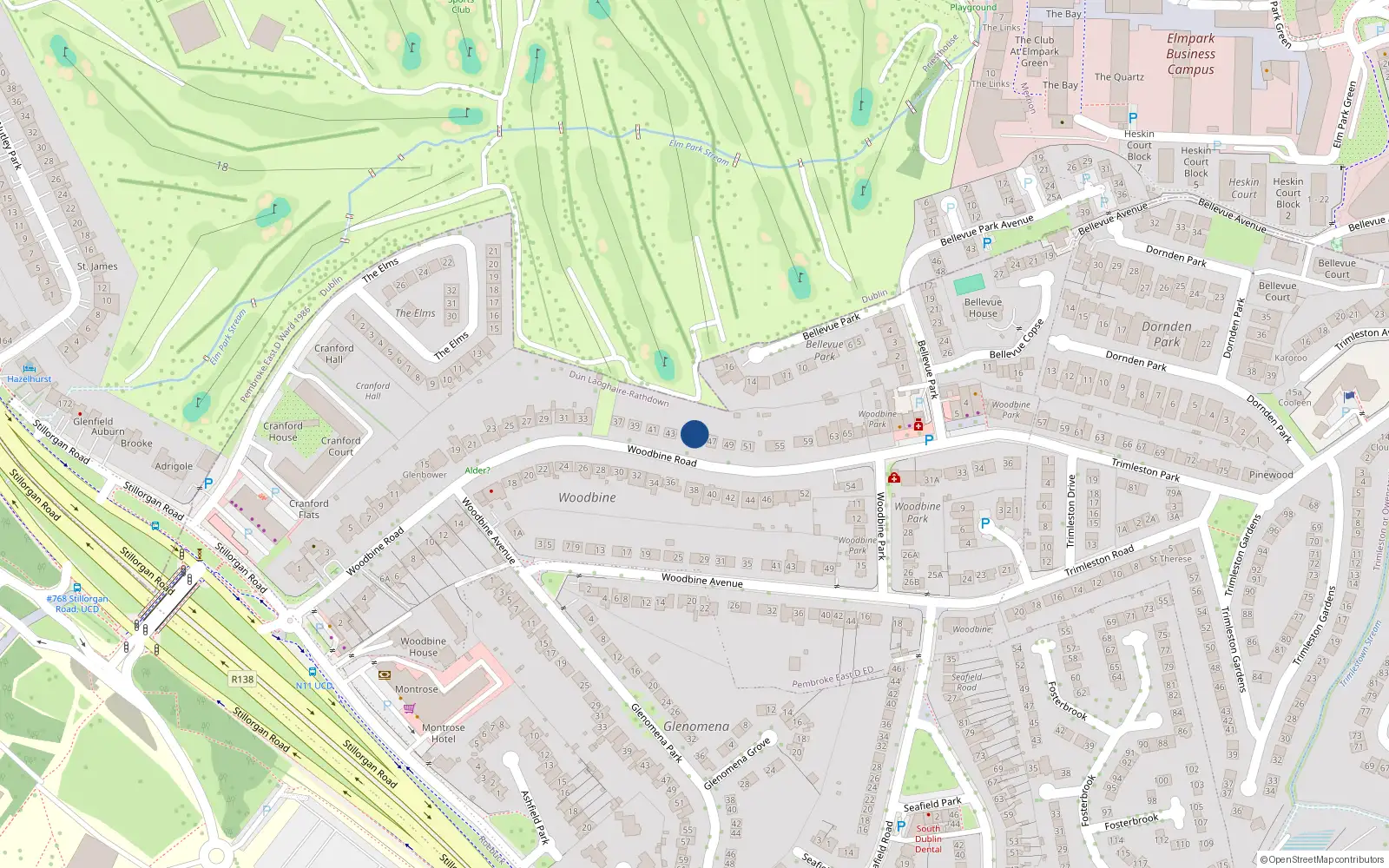 Overhead map showing the location of 45 Woodbine Road, Blackrock