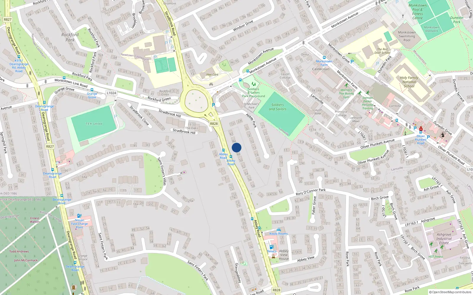 Overhead map showing the location of 46 Abbey Road, Deans Grange, Dublin