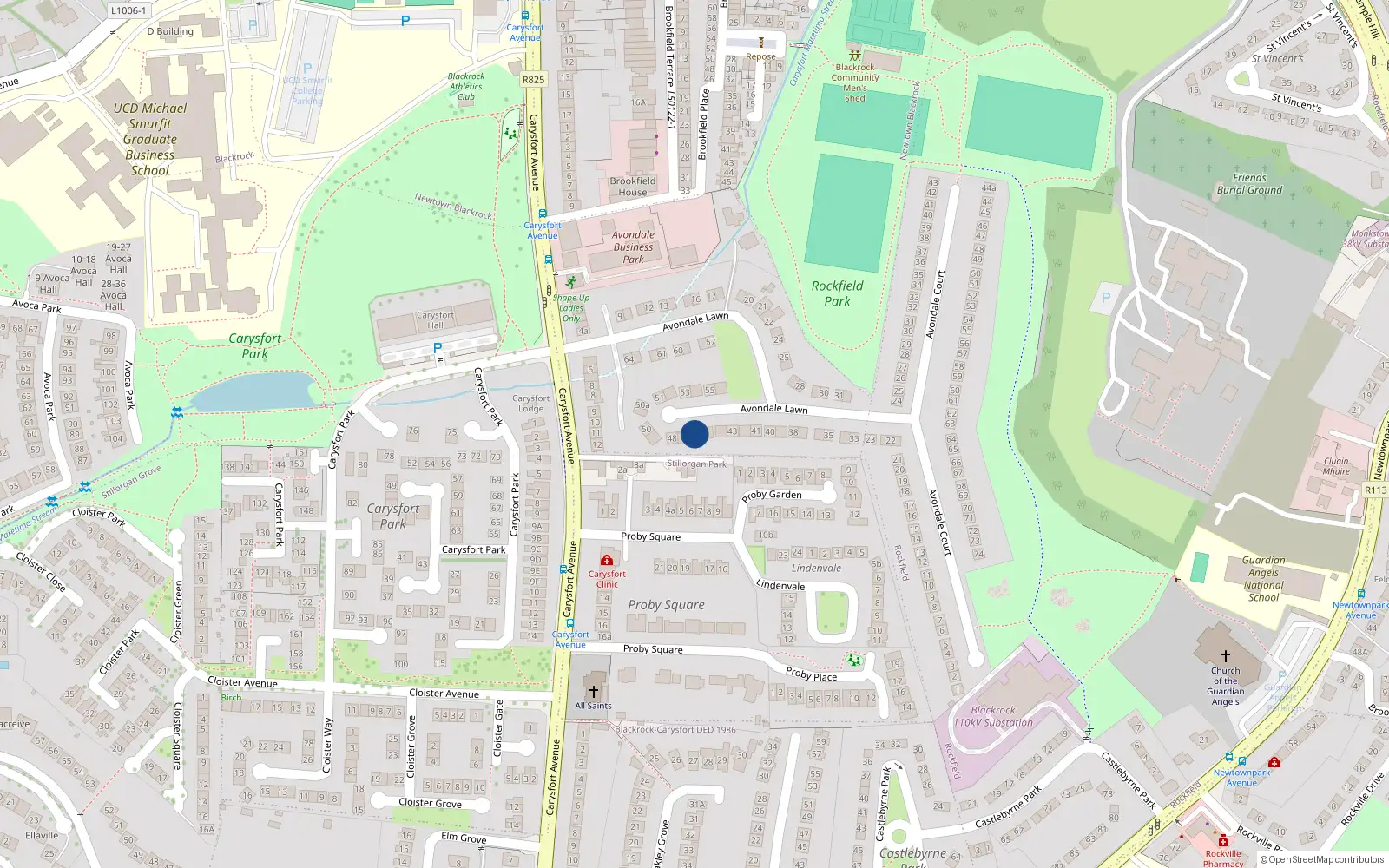 Overhead map showing the location of 46 Avondale Lawn, Blackrock, Dublin