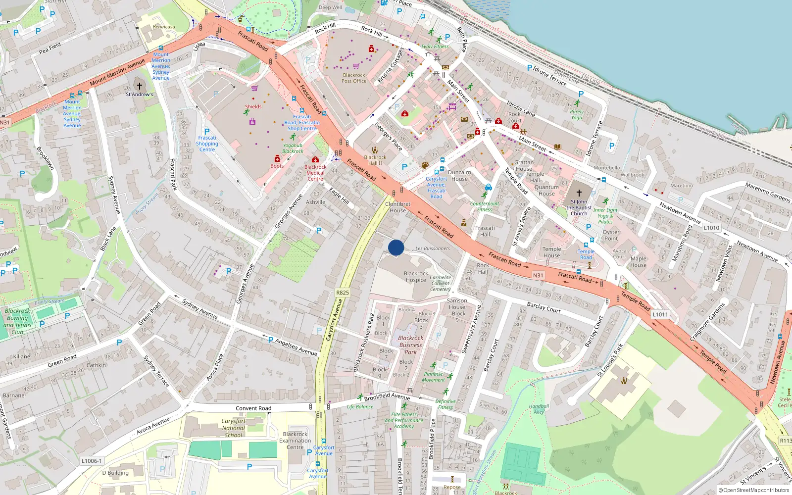 Overhead map showing the location of 46 Carysfort Avenue, Blackrock