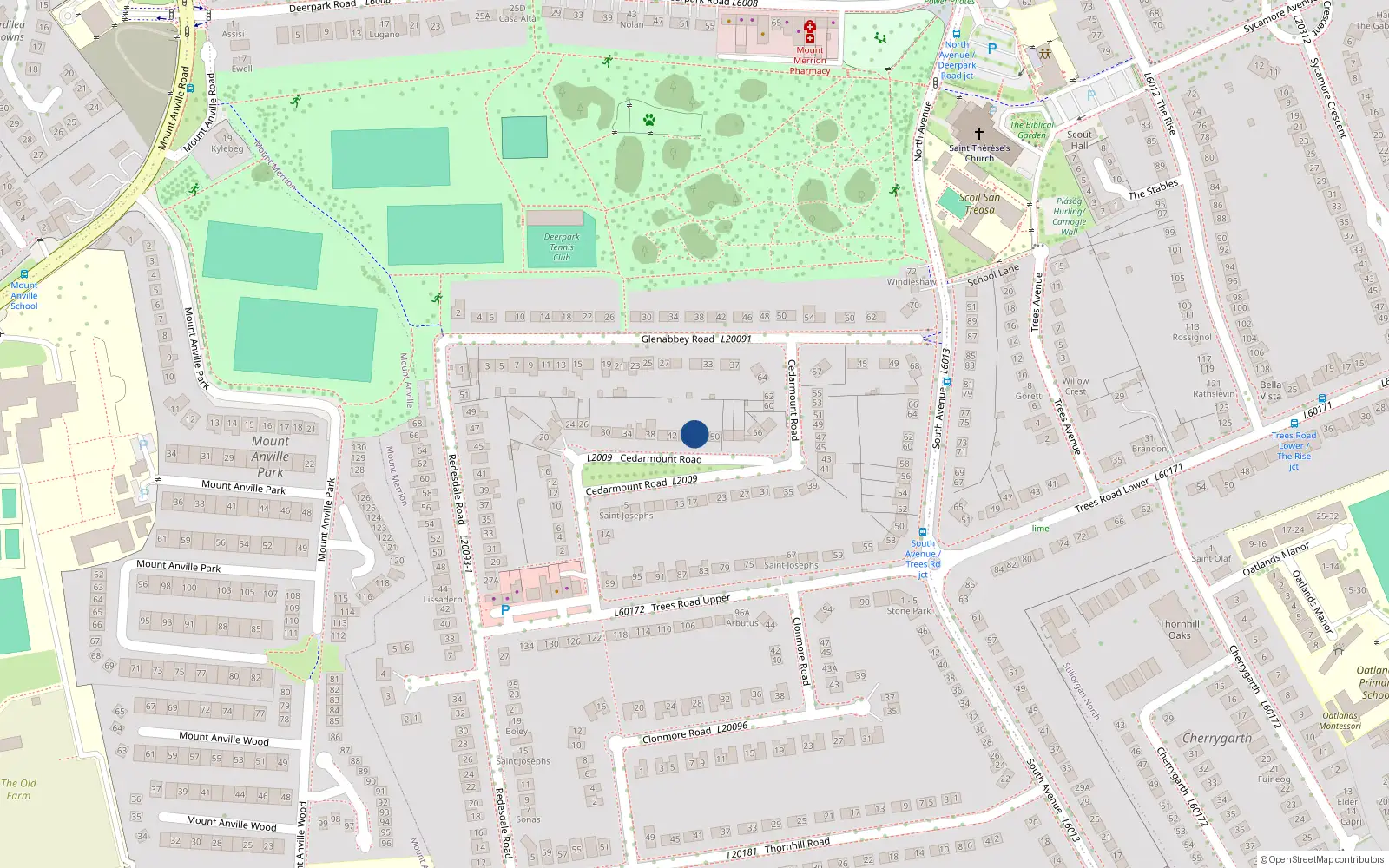 Overhead map showing the location of 46 Cedarmount Road, Blackrock
