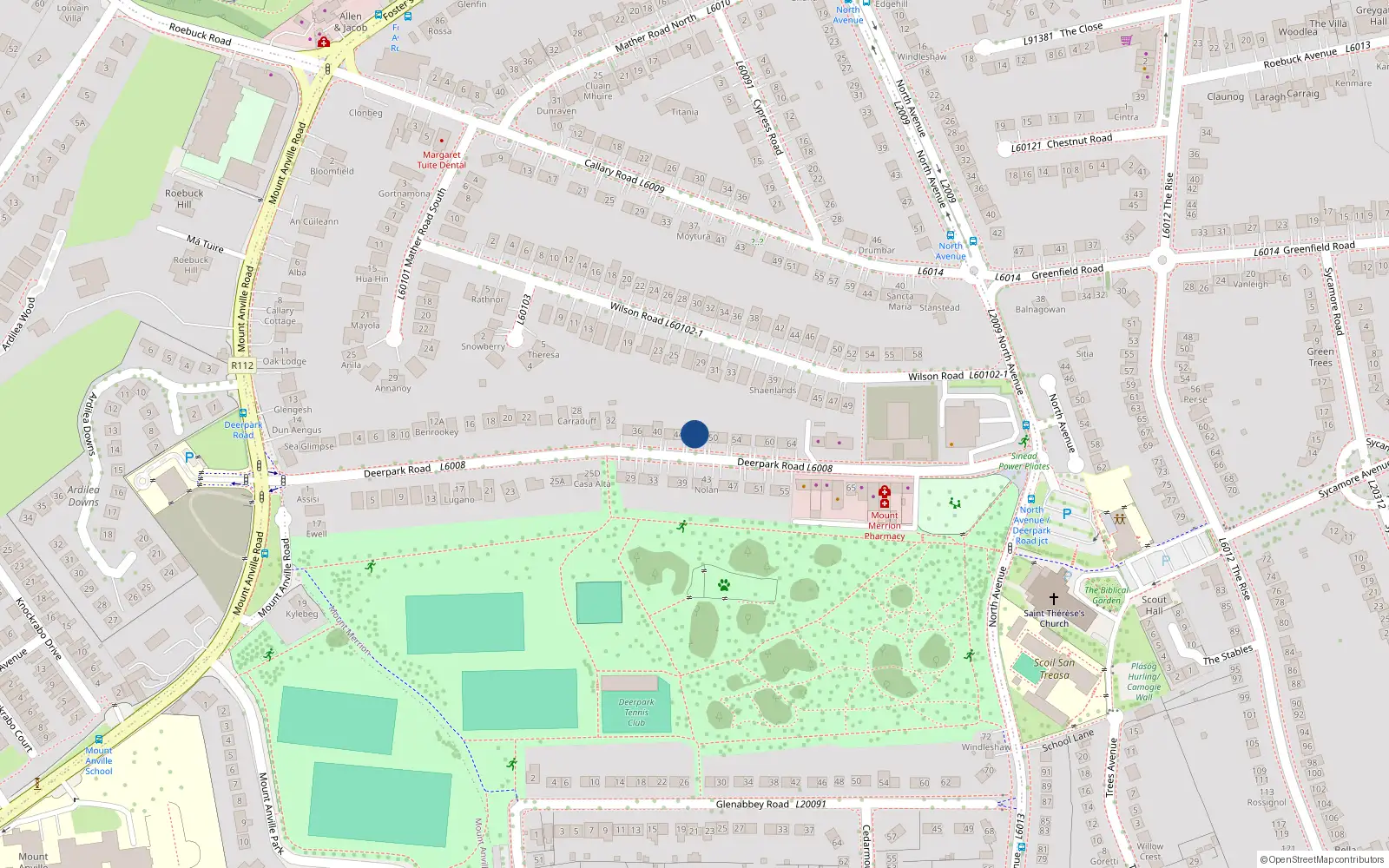 Overhead map showing the location of 46 Deerpark Road, Blackrock
