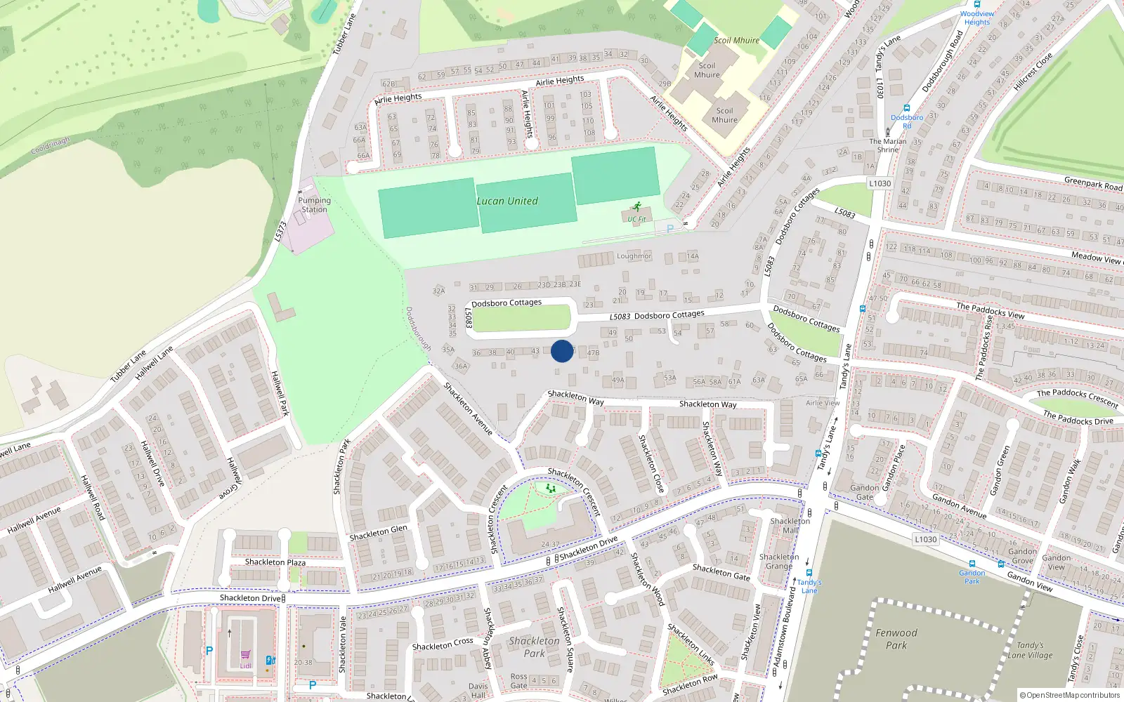 Overhead map showing the location of 46 Dodsborough Cottages, Lucan