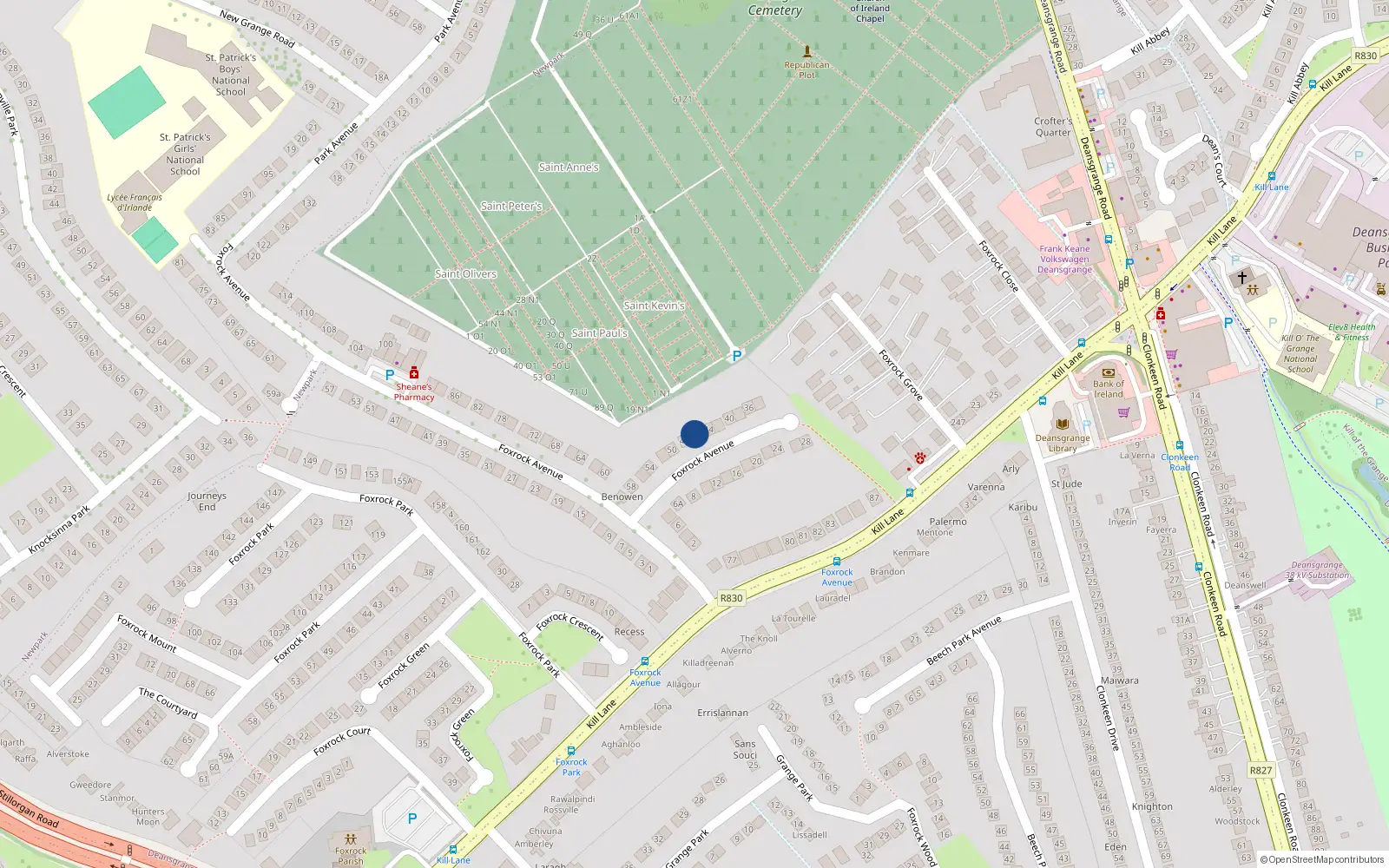 Overhead map showing the location of 46 Foxrock Avenue, Dublin